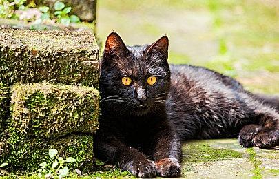 人类遗孤探索未来 科幻新作《Cryogenesis》年底发售